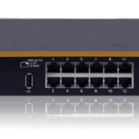 Peplink 24-Port Switch